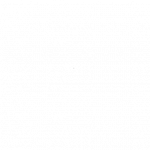TITIK-1-1-1.png